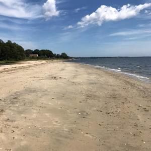 Meet your Posher, Yvette